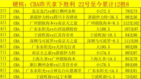 CBA总决赛收官之战激怒球迷：辽篮对手粉丝砸金如雨，判官亦显紧张神态